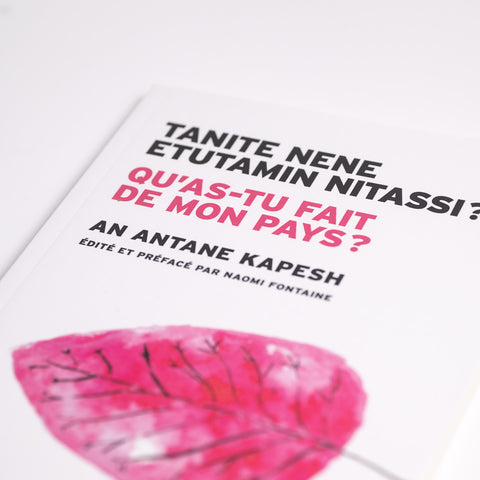 Tanite nene etutamin nitassi? - Qu'as-tu fait de mon pays?