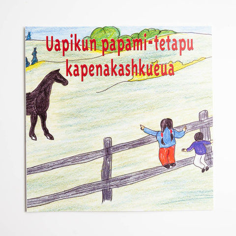 Uapikun papami-tetapu kapenakashkueua