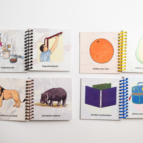 Collection Petits livres Matshunisha (4 livres Matshunisha)
