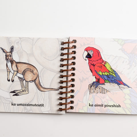 Collection Petits livres Matshunisha (4 livres Matshunisha)