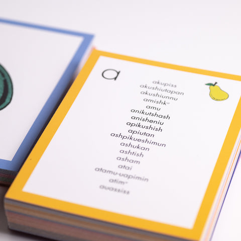 Pictogrammes (136 images en carton)