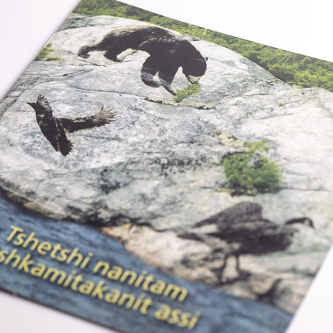 Tshetshi nanitam uashkamitakanit assi