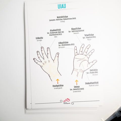 Affiche du livre Akua-Nutin (format moyen)