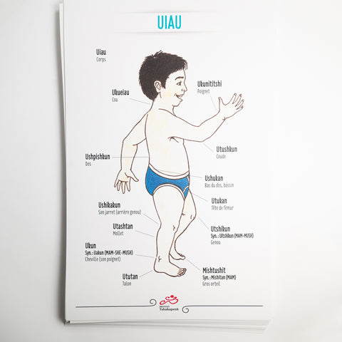 Affiche du livre Akua-Nutin (paquet de 25 affiches grand format)